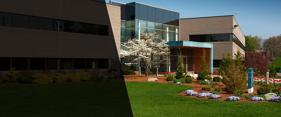 Dawson Landscapers
