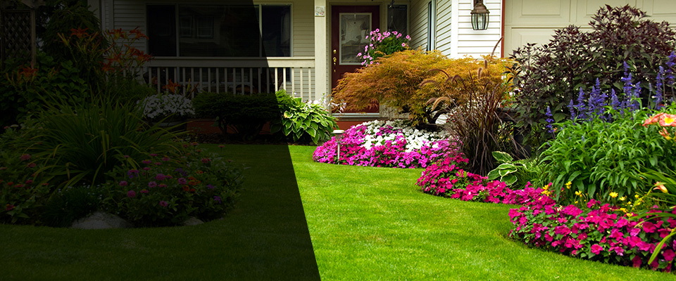 Dawson Landscapers