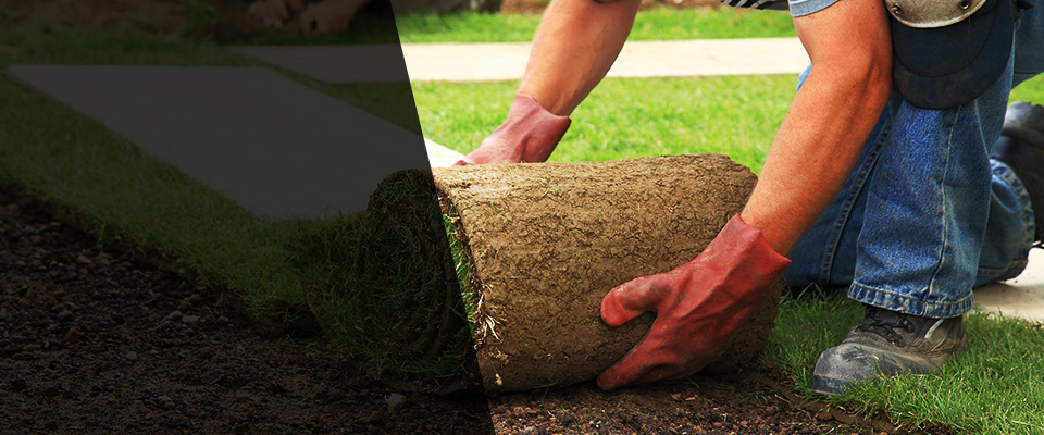 Dawson Landscapers